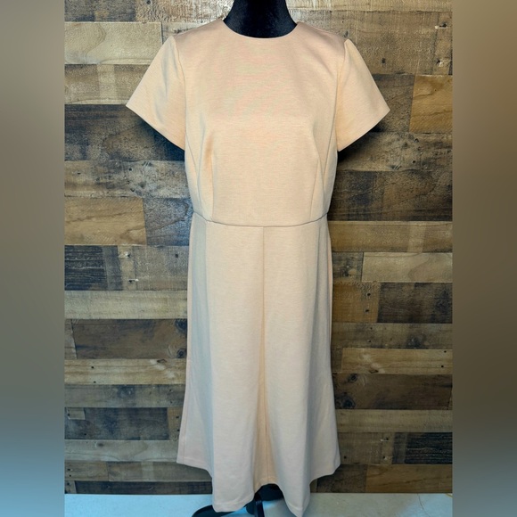 NEW NWT NIP Ann Taylor Flare Dress Knit Natural Camel Tan Women's Size 10 AB 511 - Picture 3 of 13